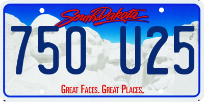 SD license plate 75OU25