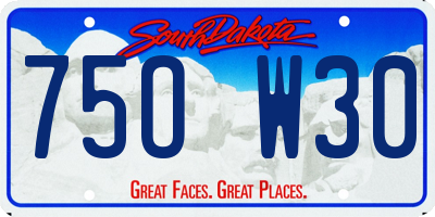 SD license plate 75OW30
