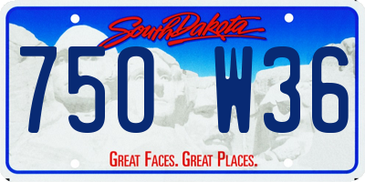 SD license plate 75OW36