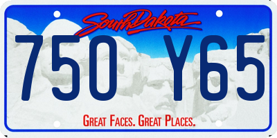 SD license plate 75OY65