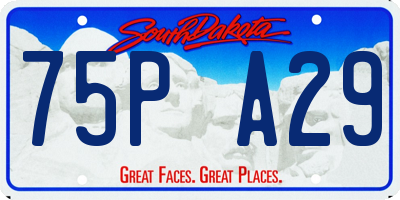 SD license plate 75PA29