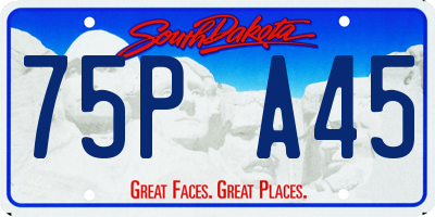 SD license plate 75PA45