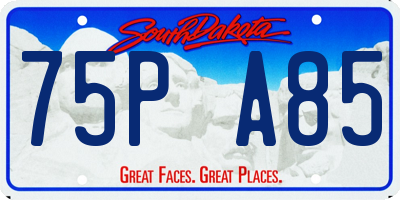 SD license plate 75PA85