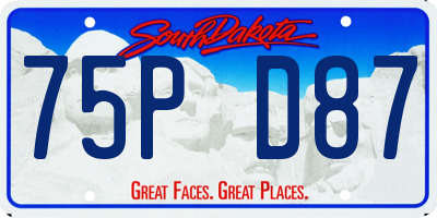SD license plate 75PD87