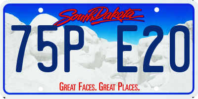 SD license plate 75PE20