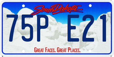 SD license plate 75PE21