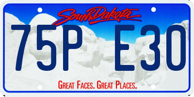 SD license plate 75PE30