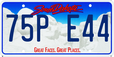 SD license plate 75PE44
