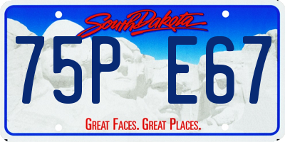 SD license plate 75PE67