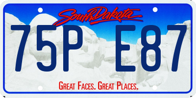 SD license plate 75PE87