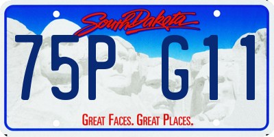 SD license plate 75PG11