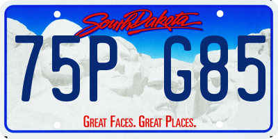SD license plate 75PG85
