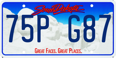 SD license plate 75PG87