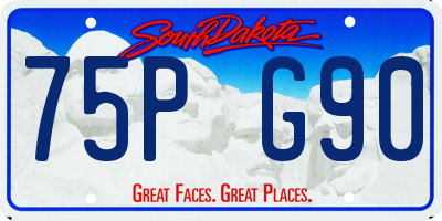 SD license plate 75PG90