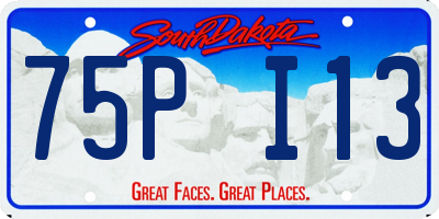 SD license plate 75PI13