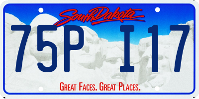 SD license plate 75PI17