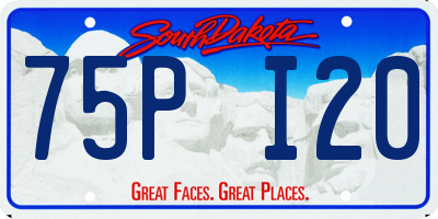 SD license plate 75PI20