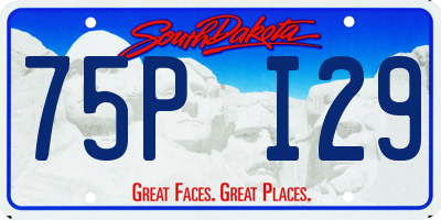 SD license plate 75PI29