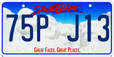 SD license plate 75PJ13
