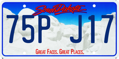 SD license plate 75PJ17