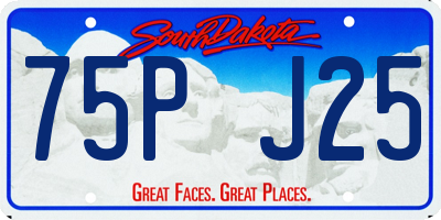 SD license plate 75PJ25