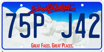 SD license plate 75PJ42