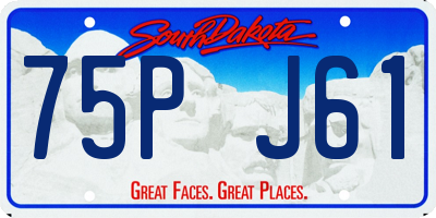SD license plate 75PJ61