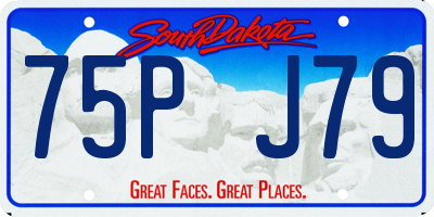 SD license plate 75PJ79