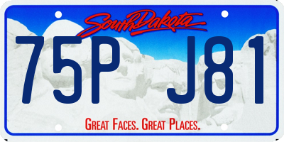 SD license plate 75PJ81