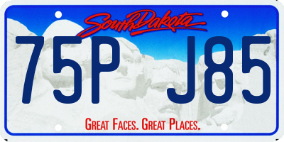 SD license plate 75PJ85