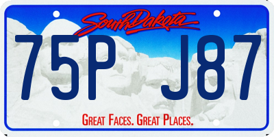 SD license plate 75PJ87