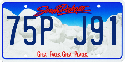 SD license plate 75PJ91