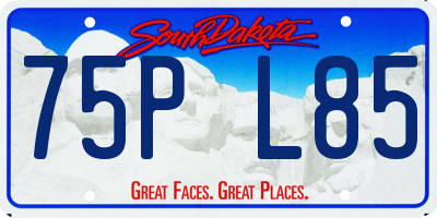SD license plate 75PL85