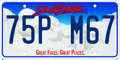 SD license plate 75PM67