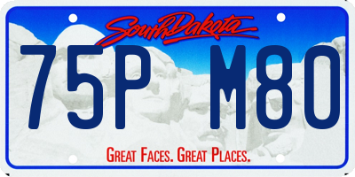 SD license plate 75PM80