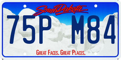 SD license plate 75PM84