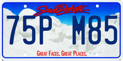 SD license plate 75PM85