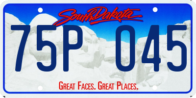 SD license plate 75PO45