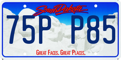 SD license plate 75PP85
