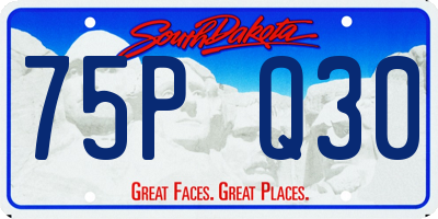 SD license plate 75PQ30