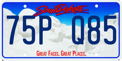 SD license plate 75PQ85