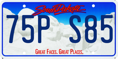 SD license plate 75PS85