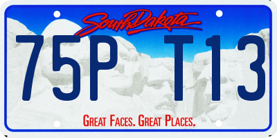 SD license plate 75PT13