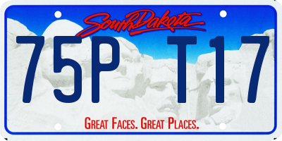 SD license plate 75PT17