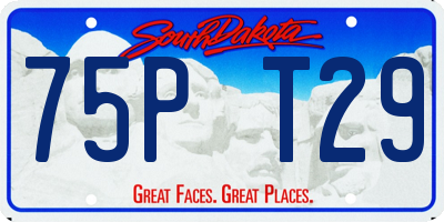 SD license plate 75PT29