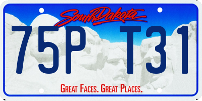 SD license plate 75PT31