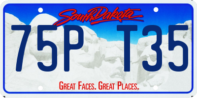 SD license plate 75PT35