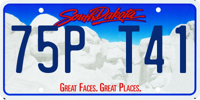 SD license plate 75PT41