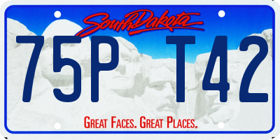 SD license plate 75PT42
