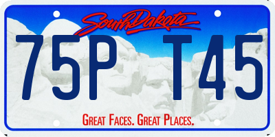 SD license plate 75PT45